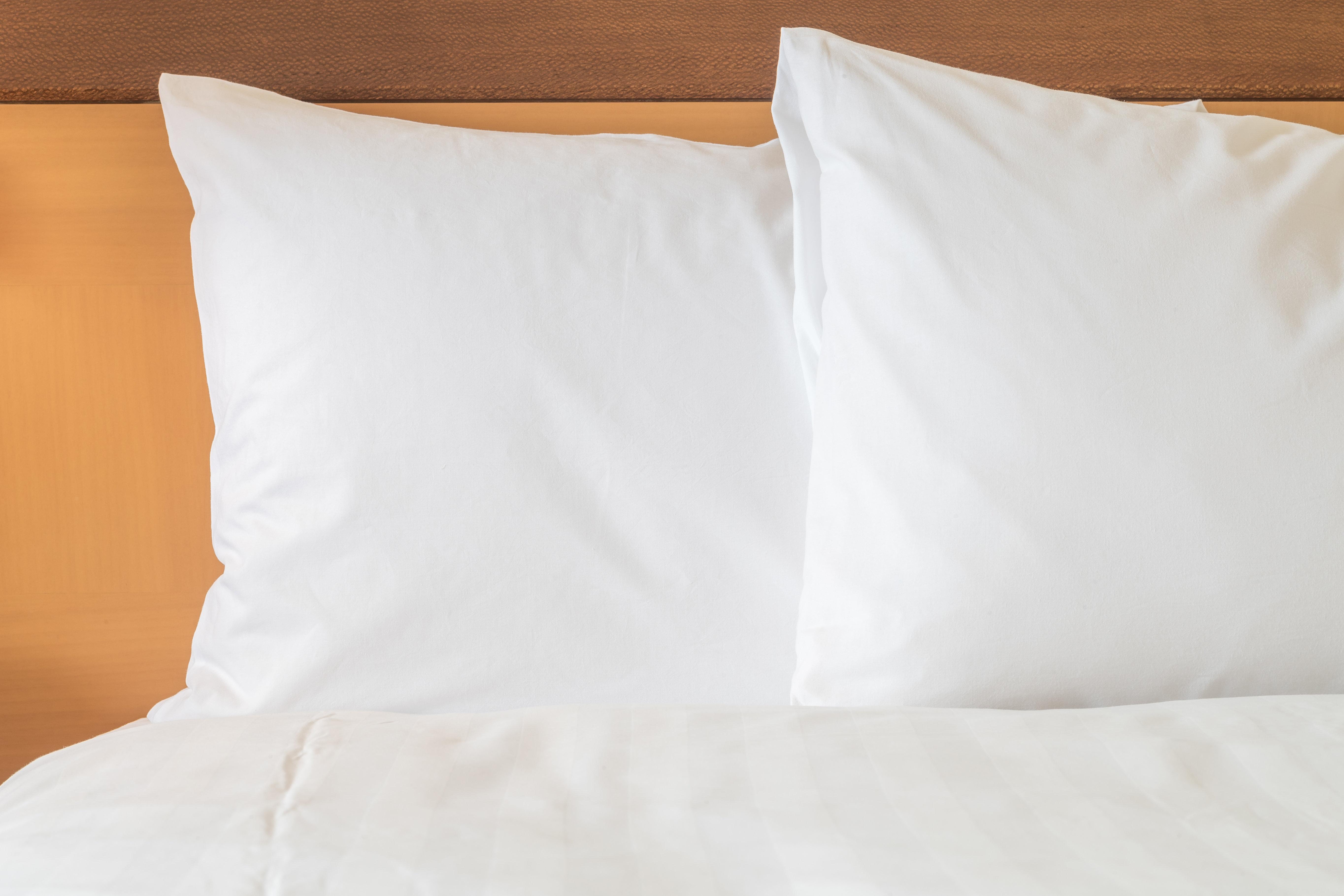 Holiday Inn Express Hotel & Suites Chatham South By Ihg Esterno foto